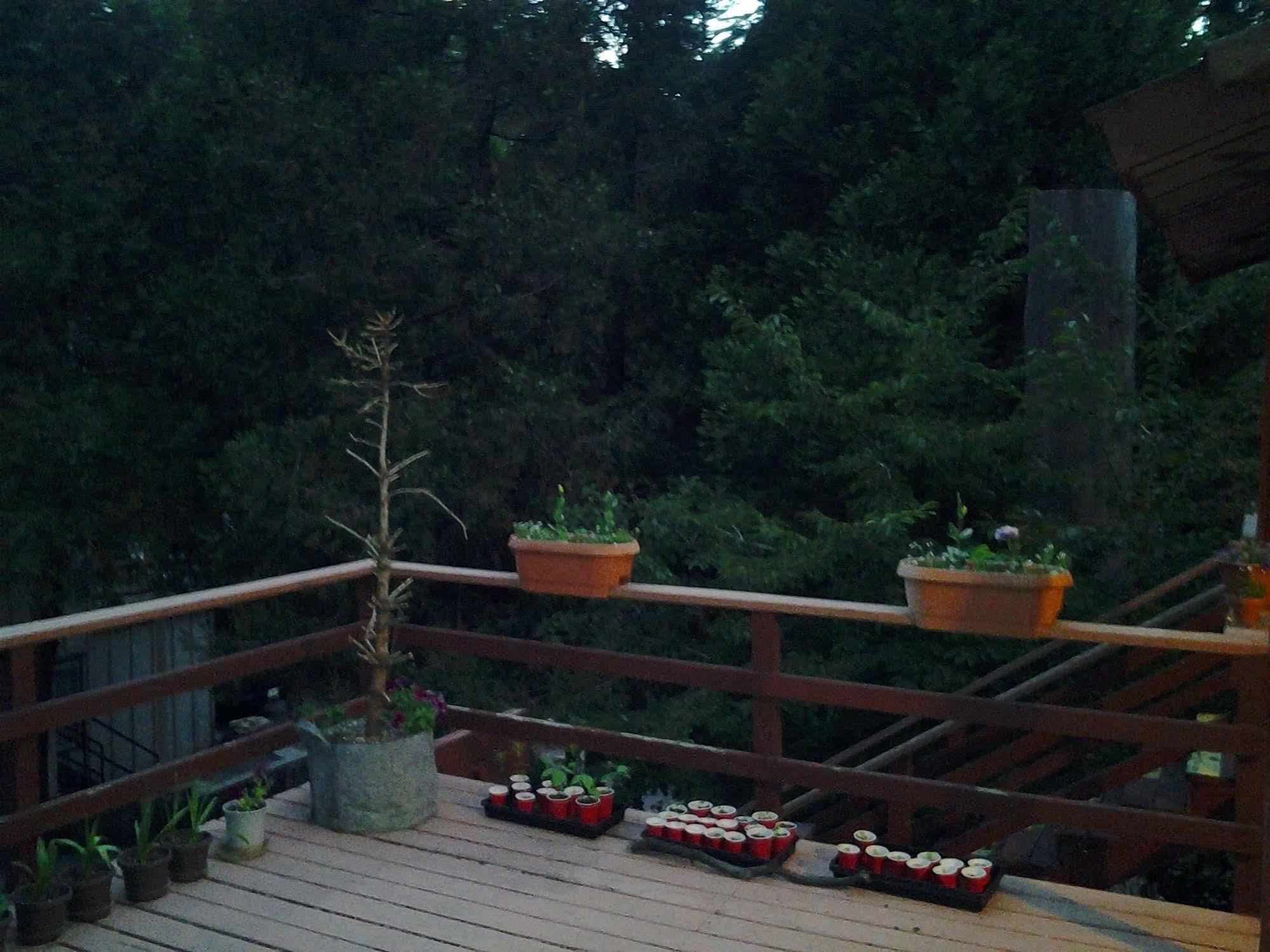 Arrowhead Mountain Inn Lake Arrowhead Ngoại thất bức ảnh
